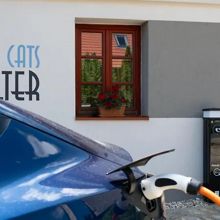 Apartment 4catsshelter Cak