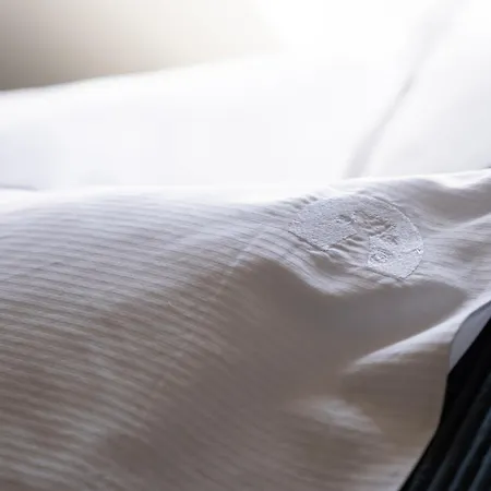 4catsshelter Appartement *